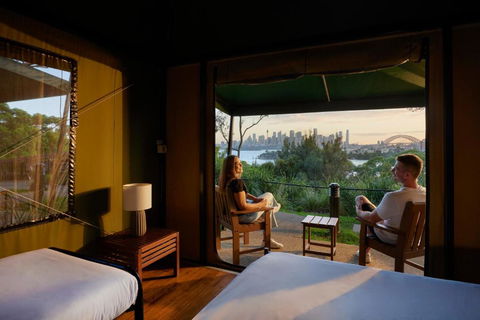Roar And Snore - Tourism Search 0