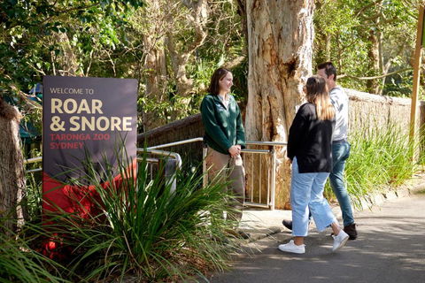 Roar And Snore - Tourism Search 1