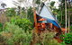 Rose Gums Wilderness Retreat - thumb 3