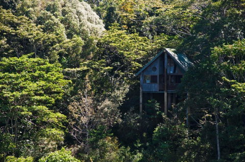 Rose Gums Wilderness Retreat - Tourism Search 1