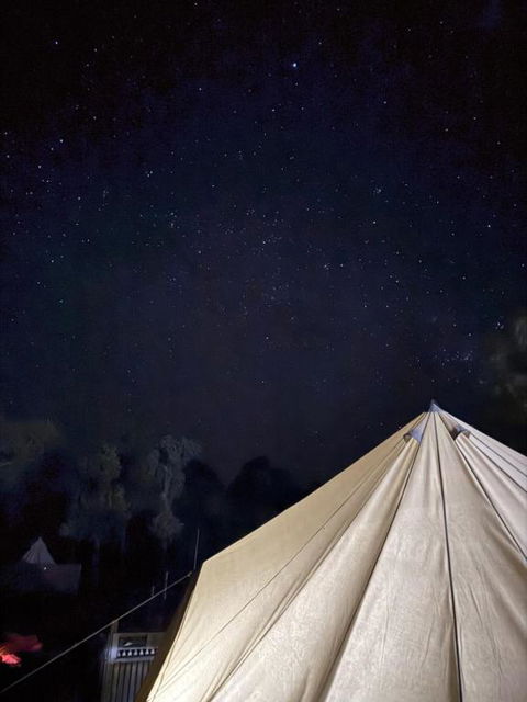 Roseneath Holiday Park - Tourism Search 1