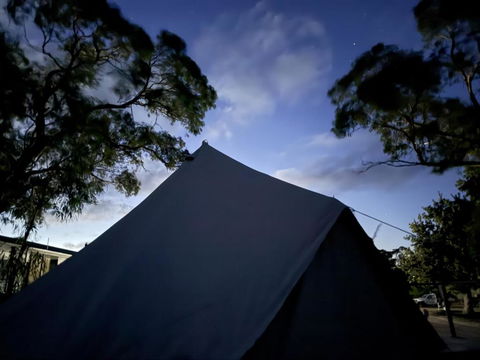 Roseneath Holiday Park - Tourism Search 3