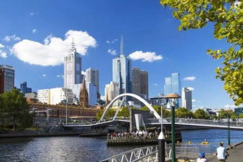 Royal Botanic Garden Yarra River - Tourism Search 3