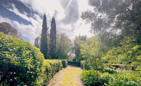 Sanctuary Park Cottages - Tourism Search 1