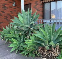 Beautiful Bedroom in Bentleigh East - Tourism Search
