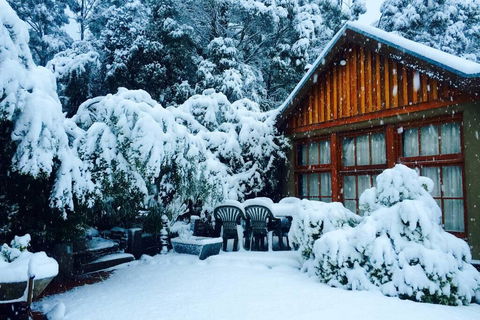 BEAUTIFUL RETREAT - 20 Mins To CBD And Only 10 Mins To MONA! - Tourism Search 0