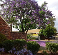 Belvoir Village Motel  Apartments Wodonga - Tourism Search