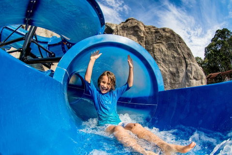 BIG4 Tweed Billabong Holiday Park - Tourism Search 3