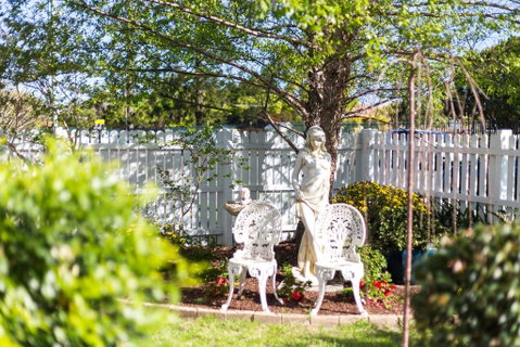 BIRCHES B&B - Tourism Search 2