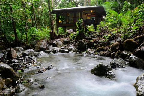 Black Palm Cape Tribulation - Tourism Search 2