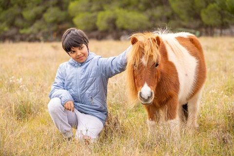 The Little Grove Retreat By Tiny Away - Tourism Search 3