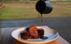 Finniss River Lodge - thumb 3