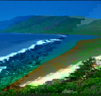 Cairns Reef and Rainforest Combo Daintree Rainforest and the Great Barrier Reef - Tourism Search