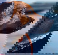 1.5-Hour Boat Rental in Melbourne - Tourism Search