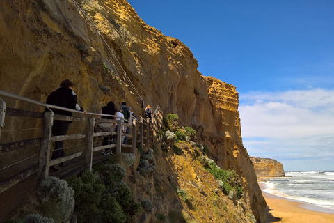 Private Express Experience - 12 Apostles - Tourism Search 3