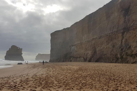 Private Express Experience - 12 Apostles - Tourism Search 4