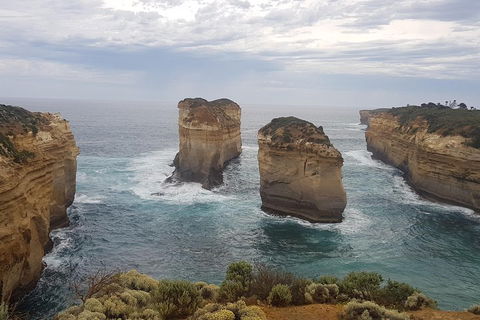 Private Express Experience - 12 Apostles - Tourism Search 5