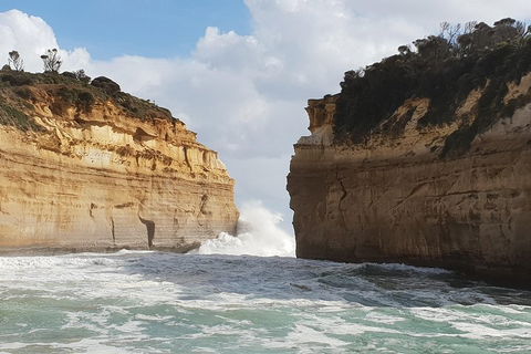 12 Apostles Tour From Warrnambool - Tourism Search 2