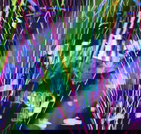 Infinity Attraction - Admission - Tourism Search