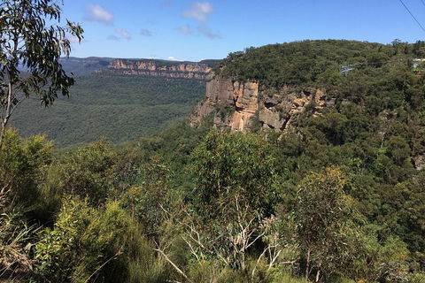 Full-Day Private Blue Mountains Tour With River Cruise - Tourism Search 1