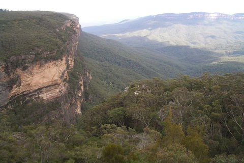 Full-Day Private Blue Mountains Tour With River Cruise - Tourism Search 3
