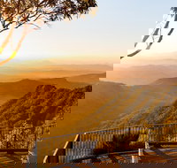 O'Reilly's  Lamington National Park incl. Alpaca Farm  Vineyard - Tourism Search