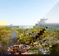 Ethical Adventures - Pure Litchfield - Tourism Search