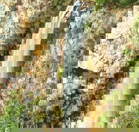 Private Tour - Rainforest  Waterfalls Extravaganza - Tourism Search