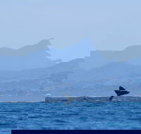 The Byron Bay Sea Kayak Tour - Tourism Search