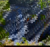 Byron Bay Hinterland Tour Including Rainforest Walk to Minyon Falls - Tourism Search