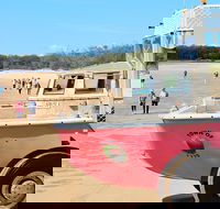 1770 Coastline Tour by LARC Amphibious Vehicle Including Picnic Lunch - Tourism Search