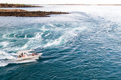 Giant Tides Tour - Cygnet Bay Pearl Farm - Tourism Search 4