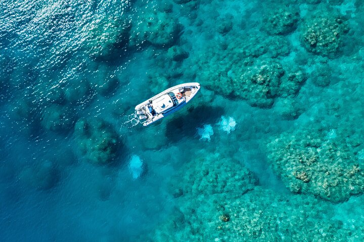Hamilton Island QLD Tourism Search