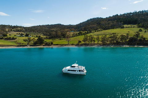 Deep-to-Dish: Tasmanian Seafood Experience - Tourism Search 0