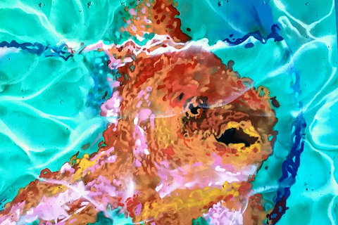 Discover Brisbane - South Bank - Tourism Search 4