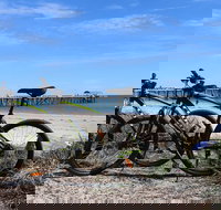 Adelaide City to Sea Bike Tour - Tourism Search