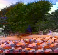 Byron Bay and the Crystal Castle Day Tour from Gold Coast - Tourism Search