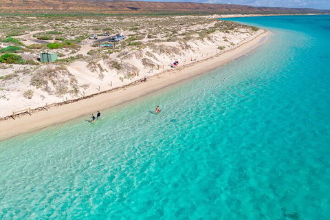 Ningaloo In A Day - Full Day Hike And Snorkel Tour With Lunch - Tourism Search 0