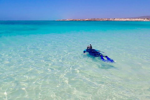 Ningaloo In A Day - Full Day Hike And Snorkel Tour With Lunch - Tourism Search 4