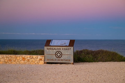 Ningaloo In A Day - Full Day Hike And Snorkel Tour With Lunch - Tourism Search 5