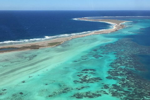Pink Lake + Abrolhos Islands Nature Tour - Tourism Search 2