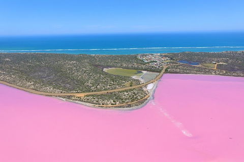 Pink Lake + Abrolhos Islands Nature Tour - Tourism Search 4
