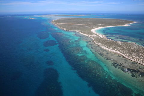 Pink Lake + Abrolhos Islands Scenic Flight - Tourism Search 0