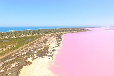 Pink Lake + Abrolhos Islands Scenic Flight - Tourism Search 4