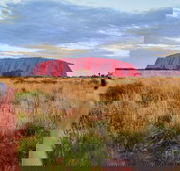 Uluru Ayers Rock Sunset with Outback Barbecue Dinner and Star Tour - Tourism Search