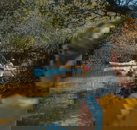 Kayak Tour in Adelaide Dolphin Sanctuary - Tourism Search