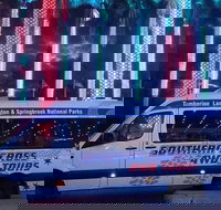 Evening Rainforest  Glow Worm Experience - Tourism Search