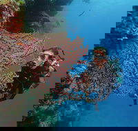 Silversonic Outer Great Barrier Reef Dive and Snorkel Cruise from Port Douglas - Tourism Search