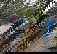 Fully guided E-Mountain Bike Tour on the beautiful Mornington Peninsula. - Tourism Search