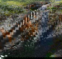 7 Days Darwin Kakadu National Park Katherine Gorge Touring Package - Tourism Search